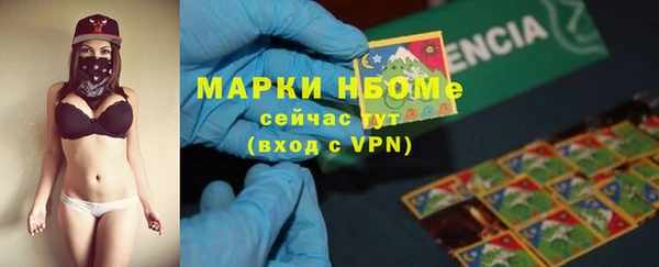ПСИЛОЦИБИНОВЫЕ ГРИБЫ Белокуриха