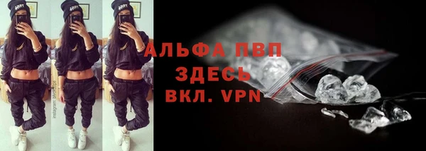 ПСИЛОЦИБИНОВЫЕ ГРИБЫ Белокуриха