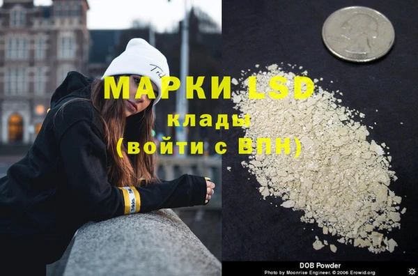 ПСИЛОЦИБИНОВЫЕ ГРИБЫ Белокуриха
