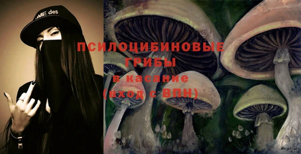 ПСИЛОЦИБИНОВЫЕ ГРИБЫ Белокуриха