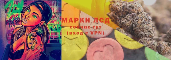 ПСИЛОЦИБИНОВЫЕ ГРИБЫ Белокуриха