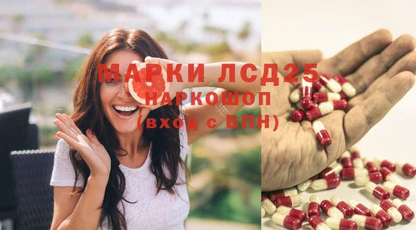 ПСИЛОЦИБИНОВЫЕ ГРИБЫ Белокуриха